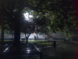 More pictures... Washington Square Park filming